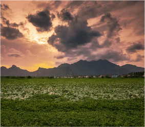 Nagercoil